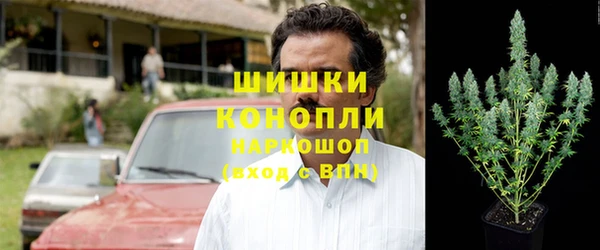 индика Пересвет