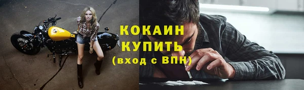 индика Пересвет