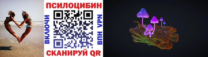 Галлюциногенные грибы Psilocybine cubensis  купить   KRAKEN зеркало  Гвардейск 